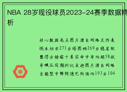 NBA 28岁现役球员2023-24赛季数据精析
